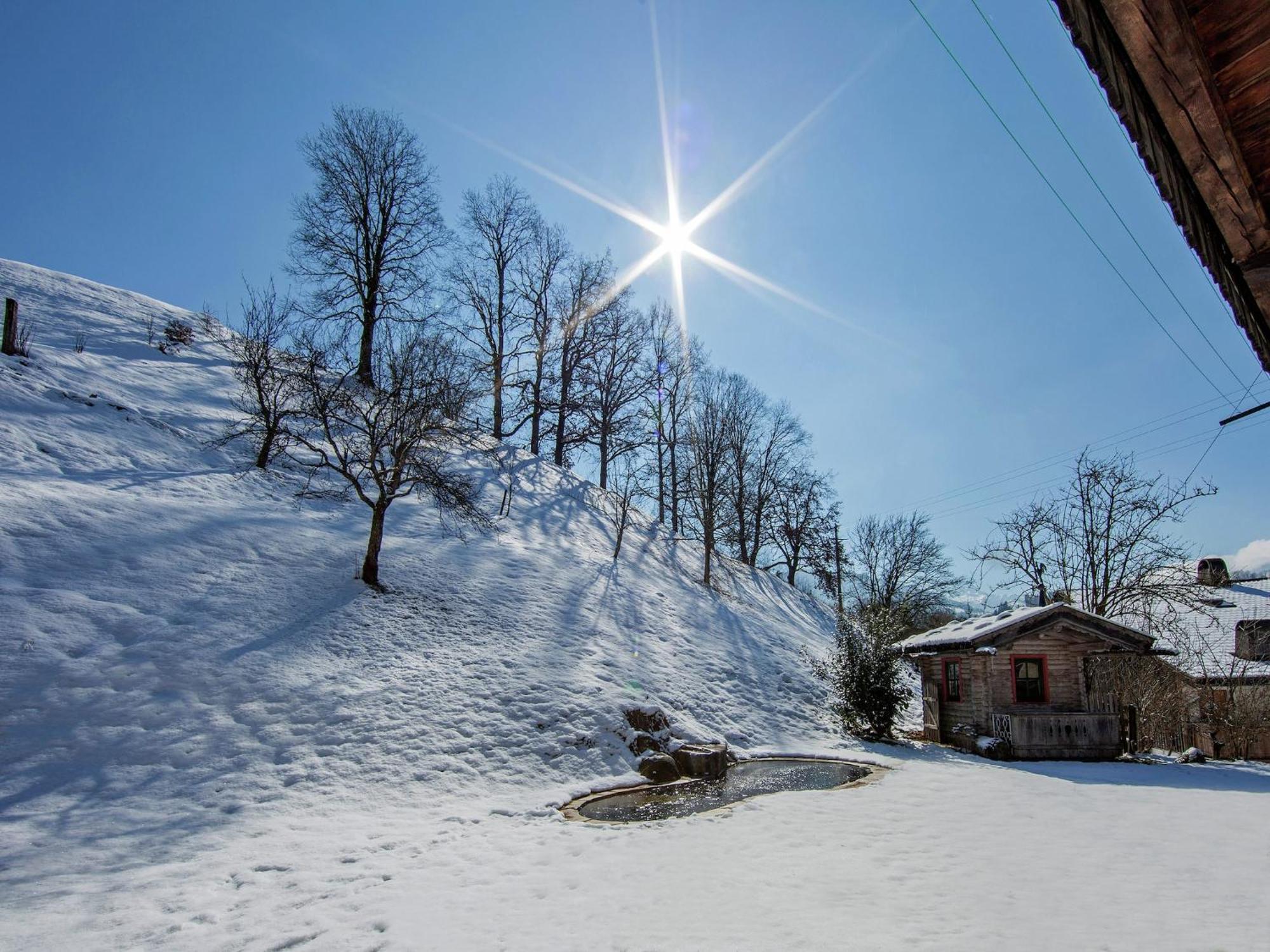 Wonderful Apartment In Hopfgarten Im Brixental With Parking Dış mekan fotoğraf